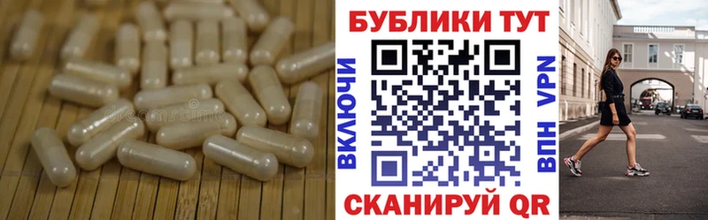ЭКСТАЗИ бентли  Купить закладки  Бежецк 