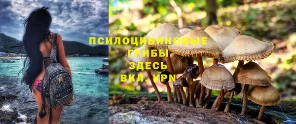 соль ск Магас